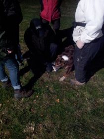 20111118_101.jpg