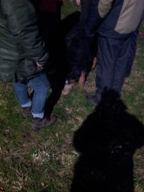 20111118_103.jpg