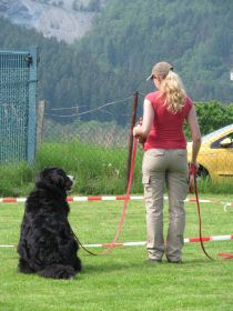 Mai2012 057.jpg