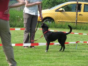 Mai2012 073.jpg