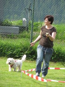 Mai2012 078.jpg